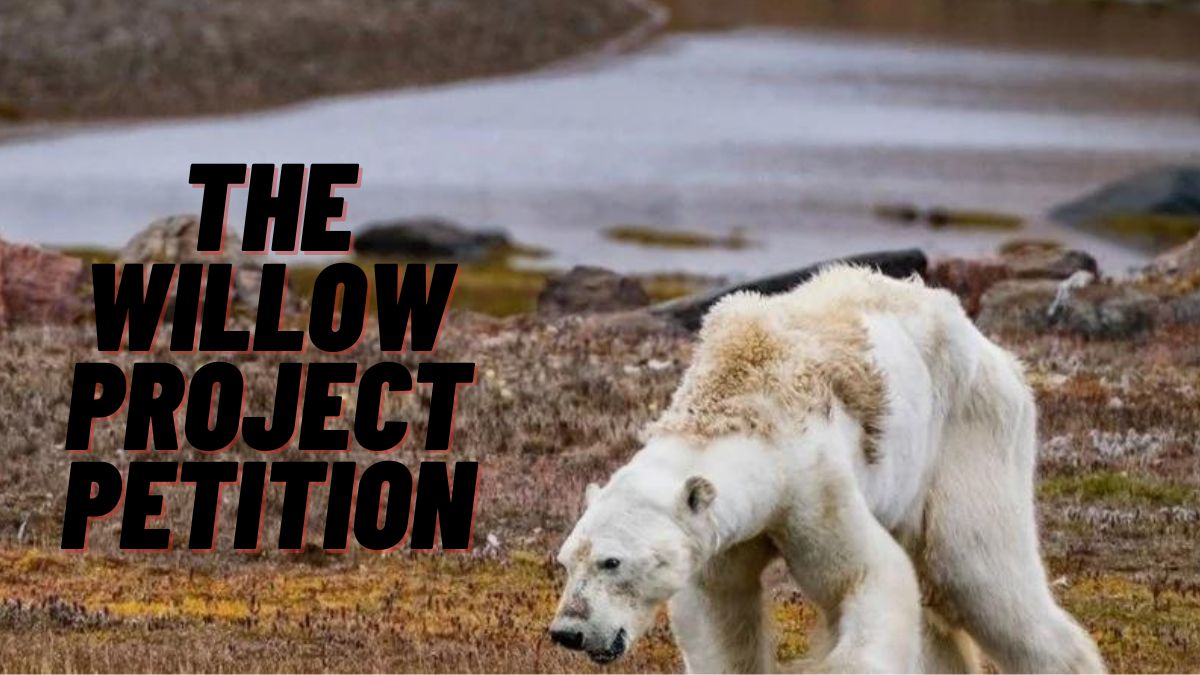 The Willow Project Petition