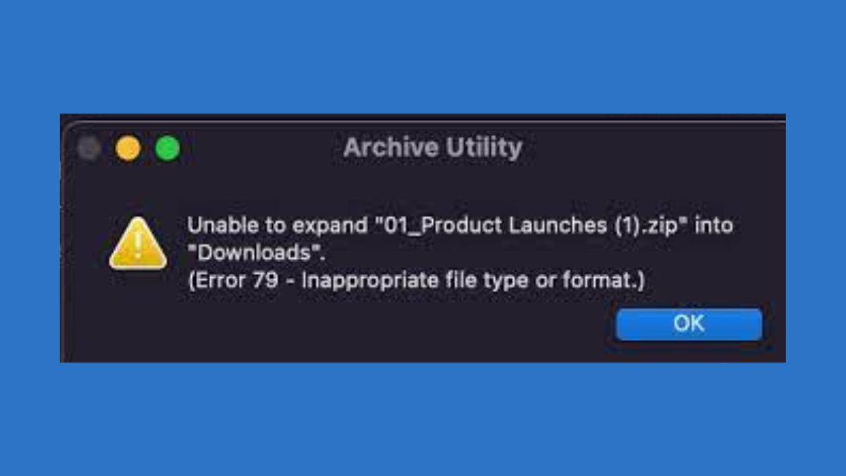 Error 79 Inappropriate File Type or Format
