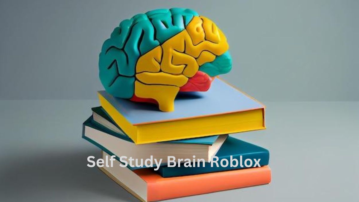 Self Study Brain Roblox