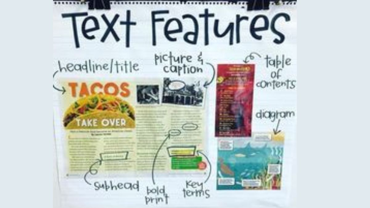 text features anchor chart