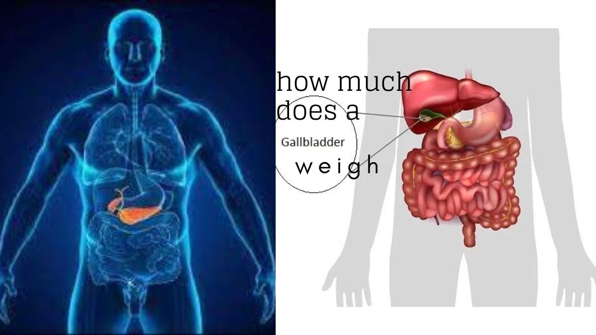 how much does a gallbladder weigh