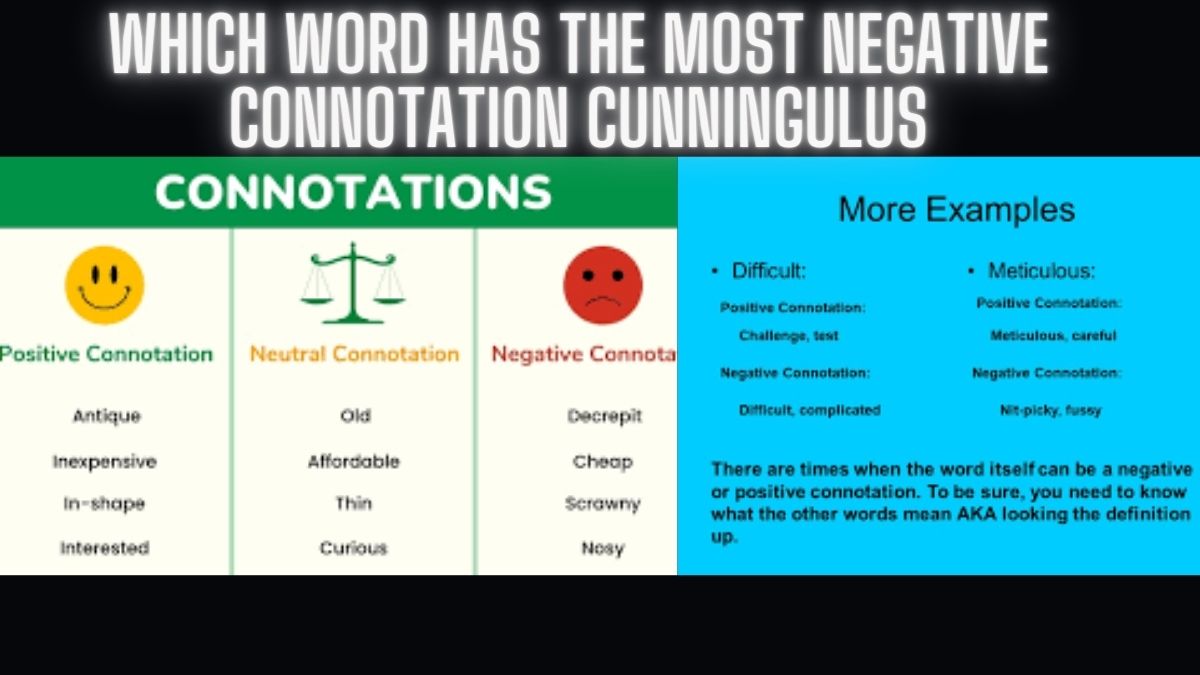 which word has the most negative connotation cunningulus