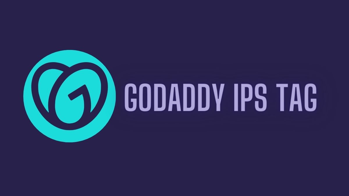 GoDaddy IP Tag